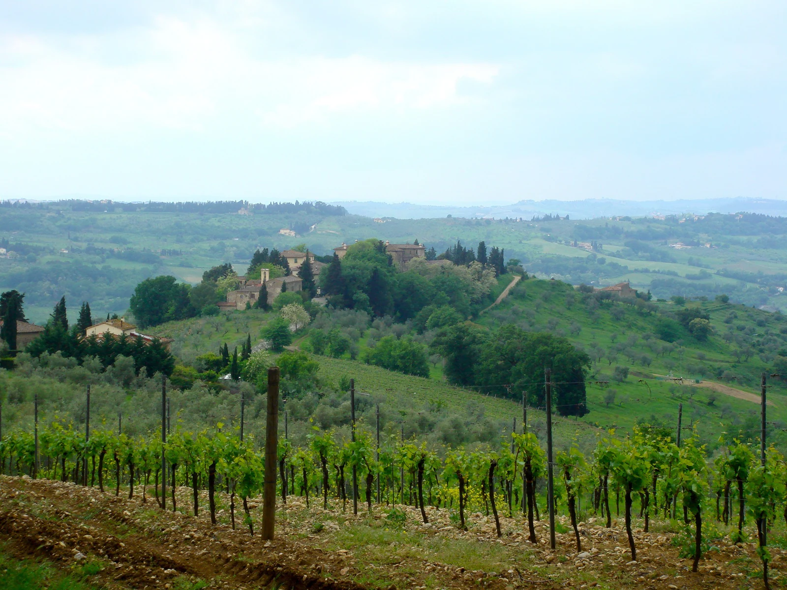 Uma vista ampla do Chianti com vinhedos, colinas e propriedades espalhadas pelo relevo. Esta é a imagem que melhor expli